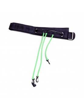 Belt Resistant Swing